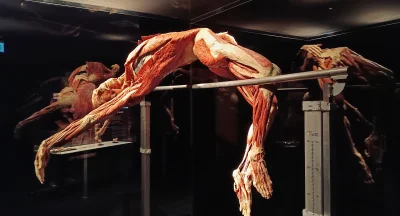 Náhled galerie Body Worlds Praha - focení bylo možné jen mobilem