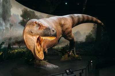 Náhled galerie Dinosauria Muzeum - POP Arirport Praha