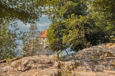 Náhled fotografie