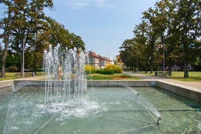Náhled fotografie