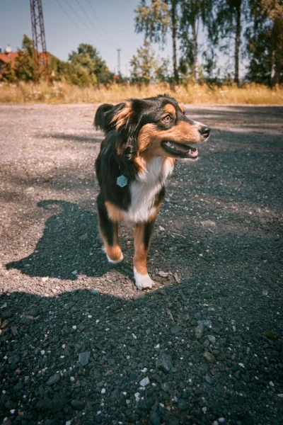Náhled fotografie