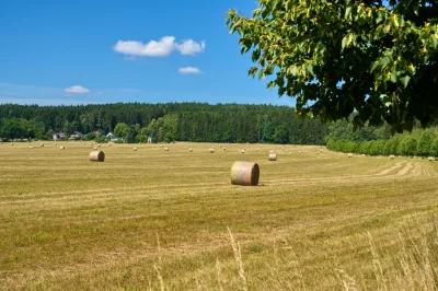Náhled fotografie
