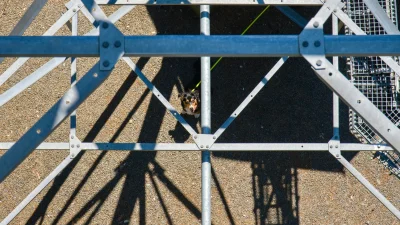 Náhled fotografie
