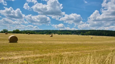 Náhled fotografie