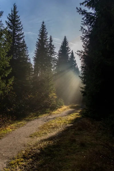 Náhled galerie Přebuz I. - krajiny