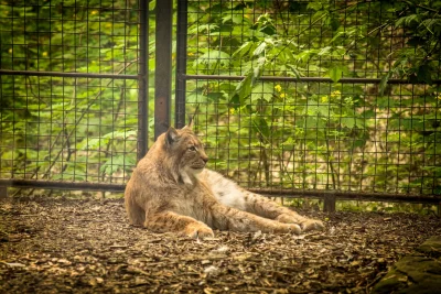 Náhled galerie Zoopark Chomutov